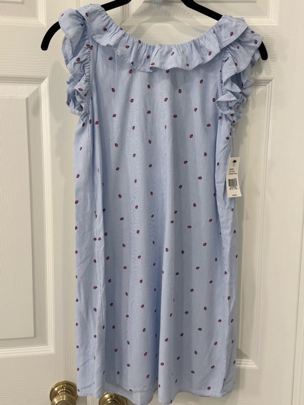 Blue and White Stripe Dress with Pink Ladybug Print and Ruffle Neck